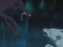darcia vs kiba