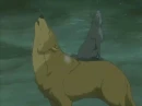 hige and tsume howl