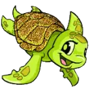 Maraquan Shoyru