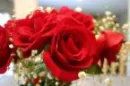 Red, Red Roses