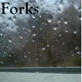 Forks