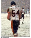 Brian Urlacher