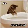 ITS DISFUNCTIONAL