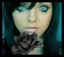 Black rose