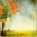fall