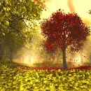 fall