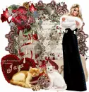 Romantic Rose/Jaya