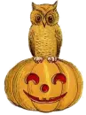 Halloween Owl