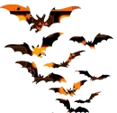 Halloween Bats