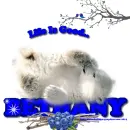 Bethany - Polar Bear - Life Is