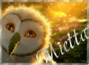 GaÂ´hoole - Mietta