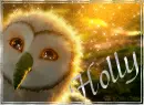 GaÂ´hoole - Holly