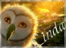GaÂ´hoole - Linda