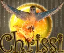 GaÂ´hoole - Chrissi