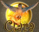 GaÂ´hoole - Clara
