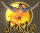 GaÂ´hoole - Josie