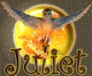 GaÂ´hoole - Juliet