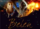 GaÂ´hoole - Belen