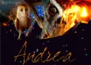 GaÂ´hoole - Andrea