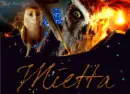 GaÂ´hoole - Mietta