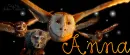 GaÂ´hoole - Anna