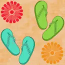 Summer Flip Flop Background