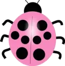Pink Ladybug