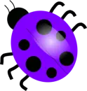 Purple Ladybug