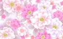 Floral Background