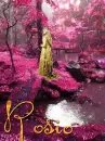 Maleficent - Rosio