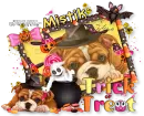 Mistik