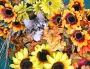 Autumn Kitten