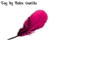 Feather - Belen