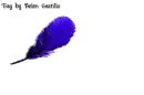 Feather - Fran