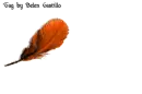 Feather - Linda