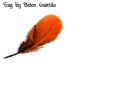 Feather - Pami