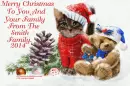 Christmas card/Smith family