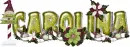 Carolina