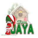 Jaya - Bird House - Snow