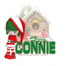Connie - Bird House - Snow