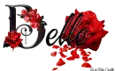 Red Roses - Belle