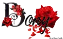 Red Roses - Bony