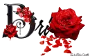 Red Roses - Bri