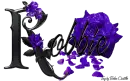 Violet Roses - Robbie