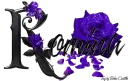 Violet Roses - Romina