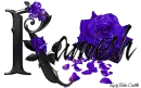 Violet Roses - Ramesh