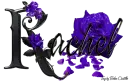 Violet Roses - Rachel