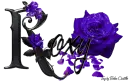 Violet Roses - Roxy