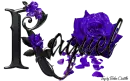 Violet Roses - Raquel