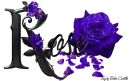 Violet Roses - Rose